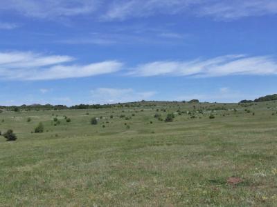 Прикрепленное изображение: DSCF8458.jpg